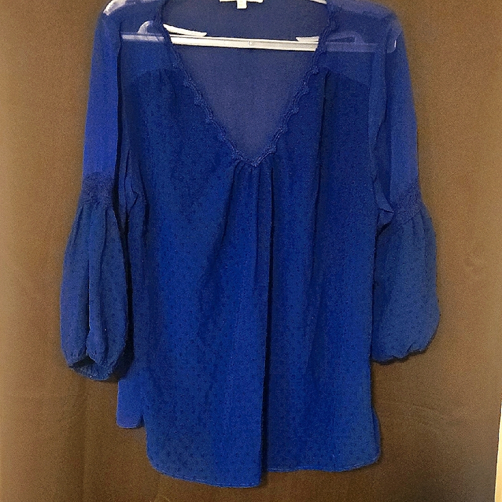 EUC Anthro Umgee purple sheer top